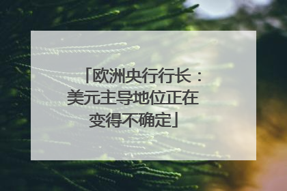 欧洲央行行长：美元主导地位正在变得不确定