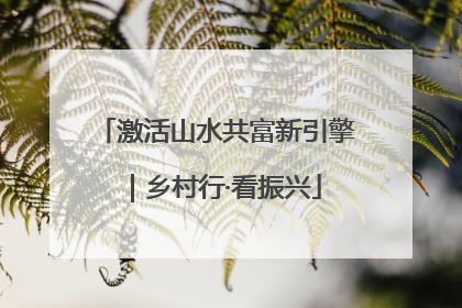 激活山水共富新引擎｜乡村行·看振兴