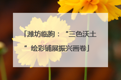 潍坊临朐：“三色沃土”绘彩铺展振兴画卷