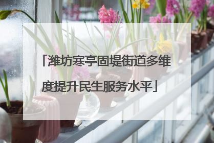 潍坊寒亭固堤街道多维度提升民生服务水平