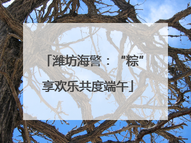 潍坊海警：“粽”享欢乐共度端午