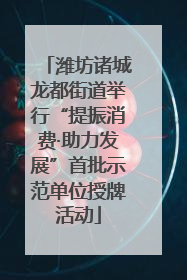 潍坊诸城龙都街道举行“提振消费·助力发展”首批示范单位授牌活动