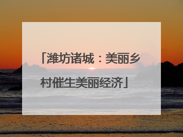 潍坊诸城：美丽乡村催生美丽经济