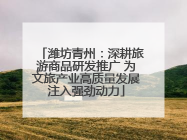 潍坊青州：深耕旅游商品研发推广 为文旅产业高质量发展注入强劲动力