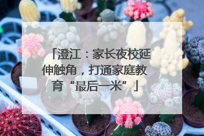 澄江：家长夜校延伸触角，打通家庭教育“最后一米”