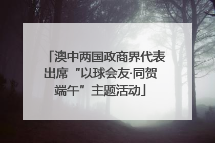 澳中两国政商界代表出席“以球会友·同贺端午”主题活动