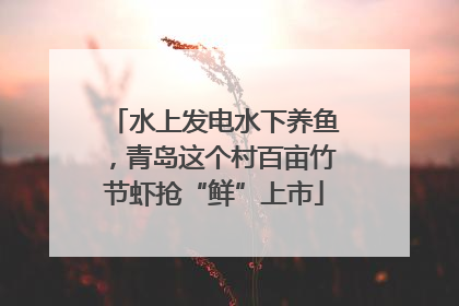 水上发电水下养鱼，青岛这个村百亩竹节虾抢“鲜”上市