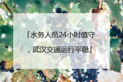 水务人员24小时值守，武汉交通运行平稳
