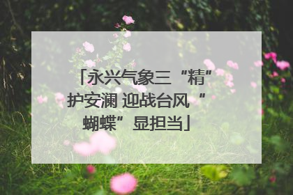 永兴气象三“精”护安澜 迎战台风“蝴蝶”显担当