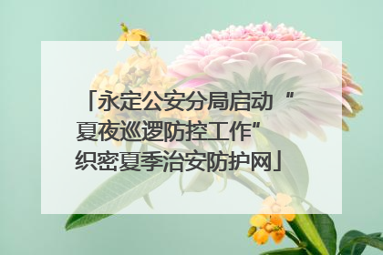 永定公安分局启动“夏夜巡逻防控工作” 织密夏季治安防护网