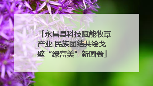 永昌县科技赋能牧草产业 民族团结共绘戈壁“绿富美”新画卷