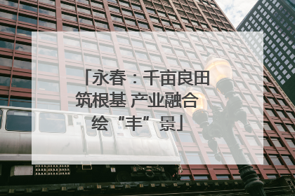 永春：千亩良田筑根基 产业融合绘“丰”景