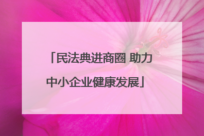 民法典进商圈 助力中小企业健康发展