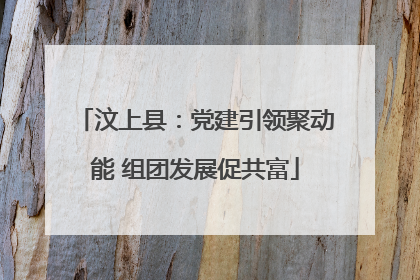 汶上县：党建引领聚动能 组团发展促共富
