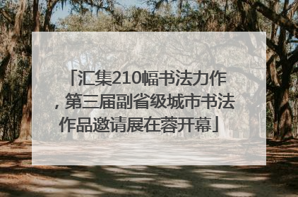 汇集210幅书法力作，第三届副省级城市书法作品邀请展在蓉开幕