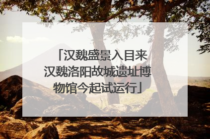 汉魏盛景入目来 汉魏洛阳故城遗址博物馆今起试运行