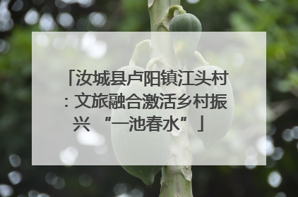 汝城县卢阳镇江头村：文旅融合激活乡村振兴 “一池春水”