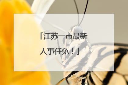 江苏一市最新人事任免！