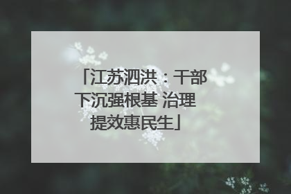 江苏泗洪：干部下沉强根基 治理提效惠民生
