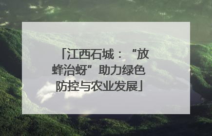 江西石城：“放蜂治蚜”助力绿色防控与农业发展