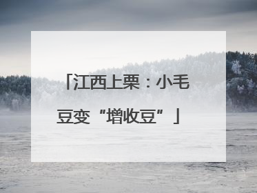 江西上栗：小毛豆变“增收豆”