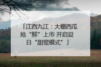 江西九江：大棚西瓜抢“鲜”上市 开启夏日“甜蜜模式”