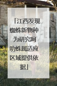 江西发现蜘蛛新物种 为研究呵叻蛛属适应区域提供依据
