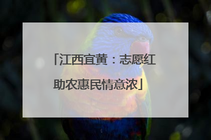 江西宜黄：志愿红助农惠民情意浓