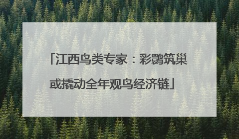江西鸟类专家：彩鹮筑巢或撬动全年观鸟经济链