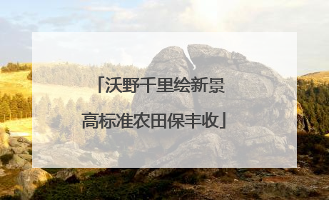 沃野千里绘新景 高标准农田保丰收