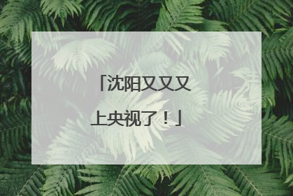 沈阳又又又上央视了！