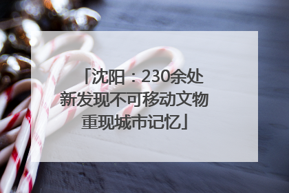 沈阳：230余处新发现不可移动文物重现城市记忆