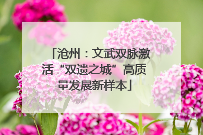 沧州：文武双脉激活“双遗之城”高质量发展新样本