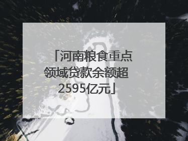 河南粮食重点领域贷款余额超2595亿元