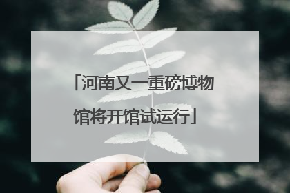 河南又一重磅博物馆将开馆试运行