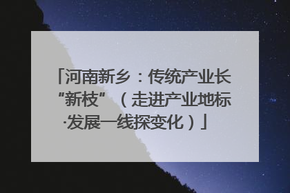 河南新乡：传统产业长“新枝”（走进产业地标·发展一线探变化）