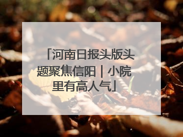 河南日报头版头题聚焦信阳｜小院里有高人气
