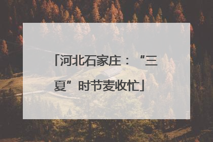 河北石家庄：“三夏”时节麦收忙