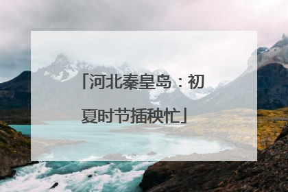 河北秦皇岛：初夏时节插秧忙
