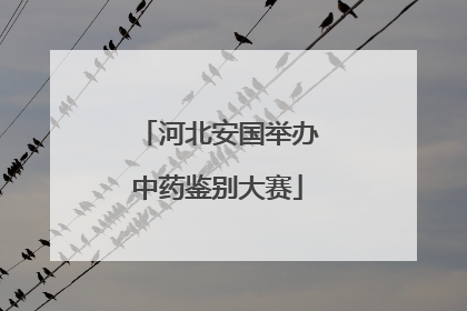 河北安国举办中药鉴别大赛