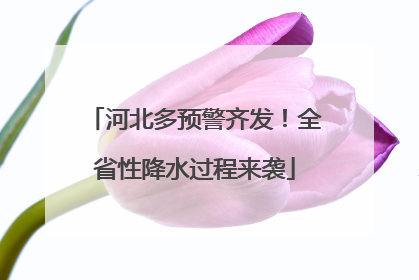河北多预警齐发！全省性降水过程来袭
