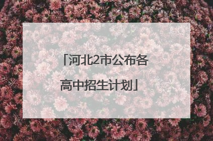 河北2市公布各高中招生计划