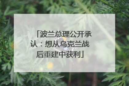 波兰总理公开承认：想从乌克兰战后重建中获利