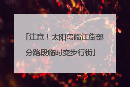 注意！太阳岛临江街部分路段临时变步行街