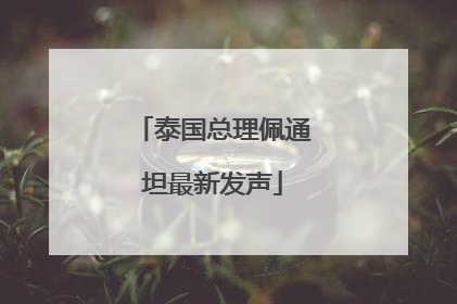 泰国总理佩通坦最新发声