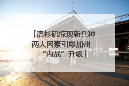洛杉矶惊现新兵种 两大因素引爆加州“内战”升级