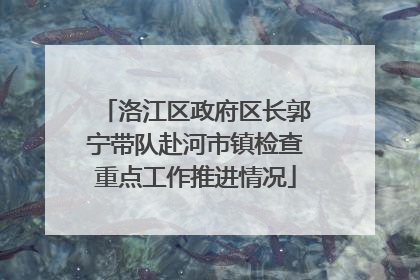 洛江区政府区长郭宁带队赴河市镇检查重点工作推进情况