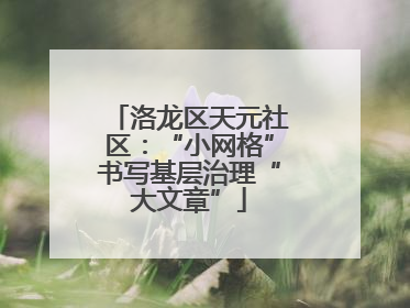 洛龙区天元社区：“小网格”书写基层治理“大文章”