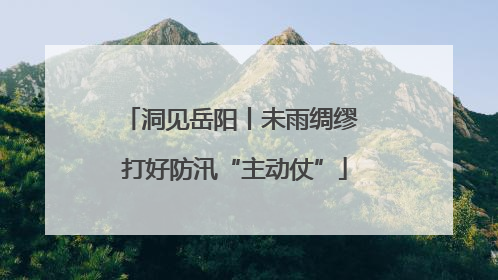 洞见岳阳丨未雨绸缪 打好防汛“主动仗”