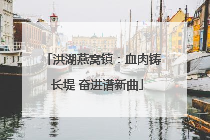 洪湖燕窝镇：血肉铸长堤 奋进谱新曲